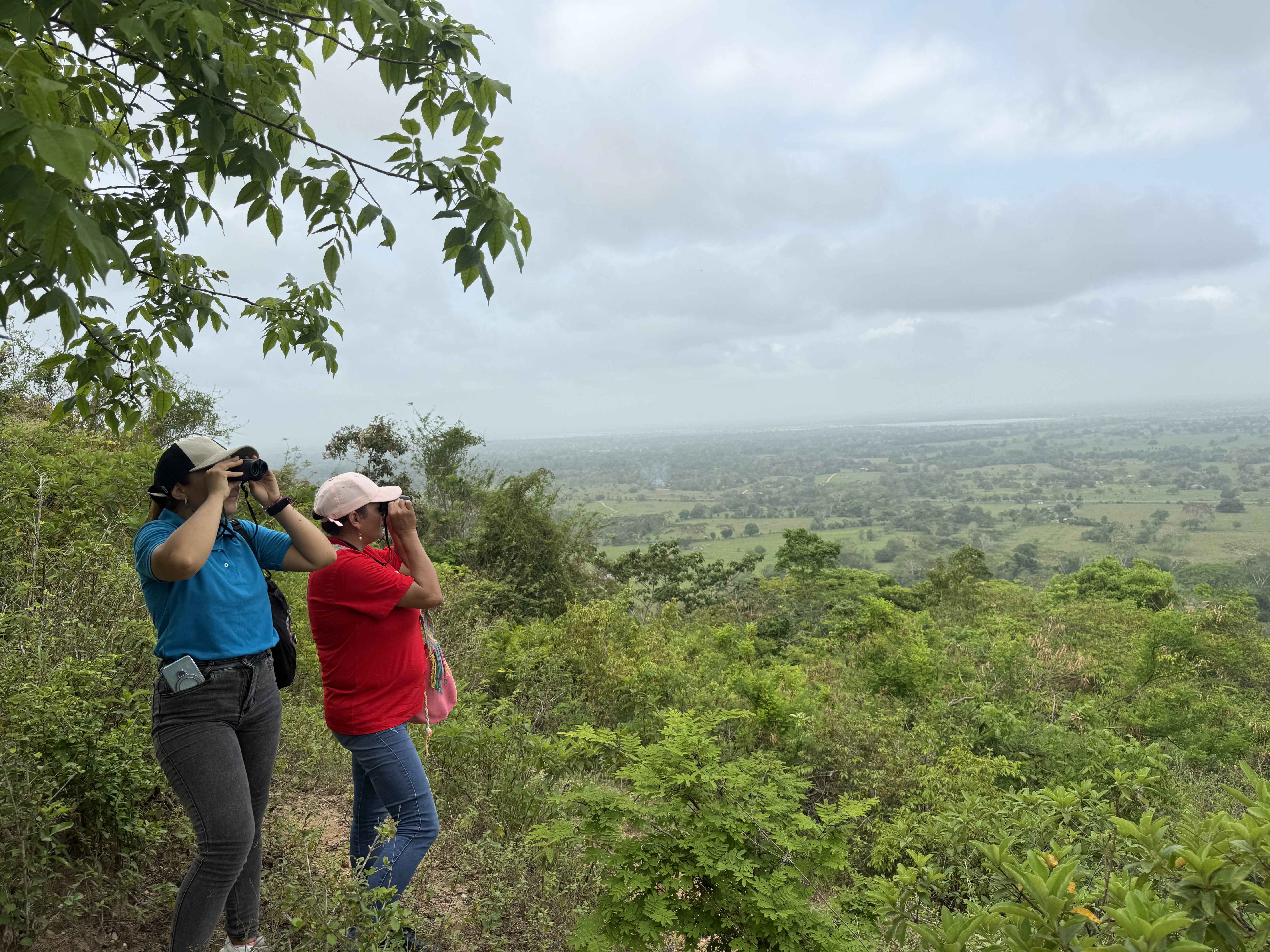 Observación de fauna
